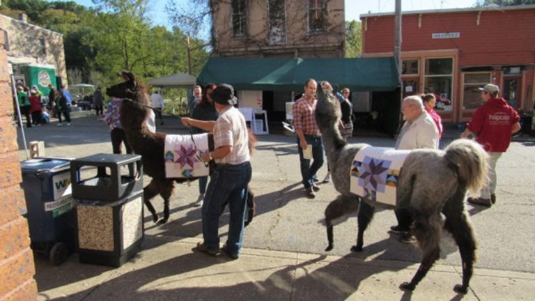 Llamas welcome at Little Cities Fest! (2018)